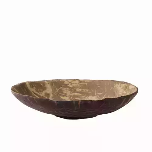 Coconut Plate 3D model