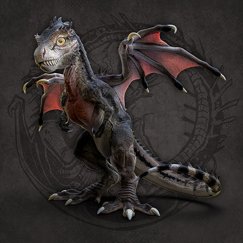 Baby TrexDragon 3D print model