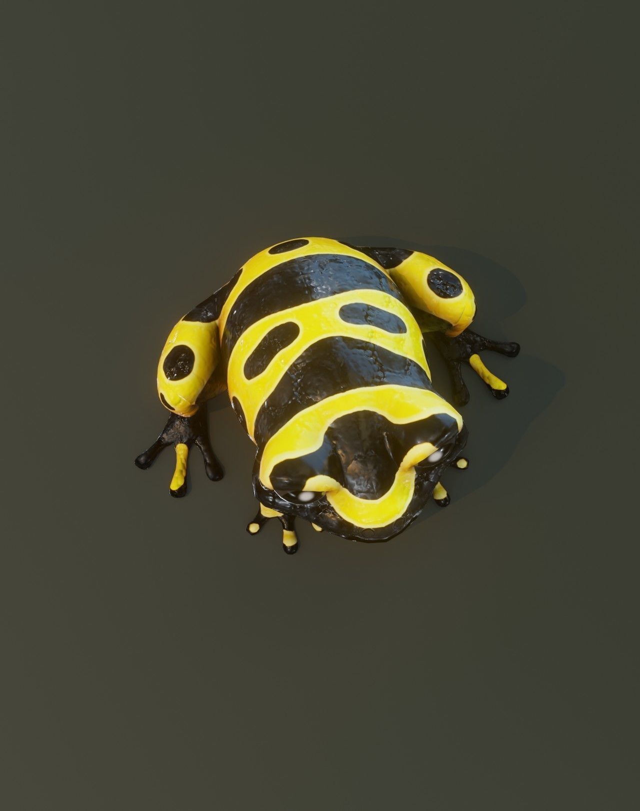 Cartoon Frog Animated 3D Model Collection _52
