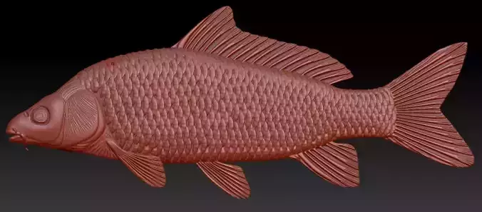 3d STL Model for CNC Carp fish