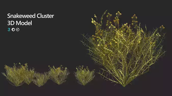 Snakeweeds Porter weeds cluster Low-poly 3D model