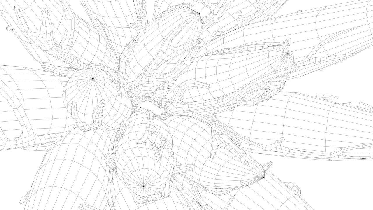 Mammary Gland Low-poly 3D model_20