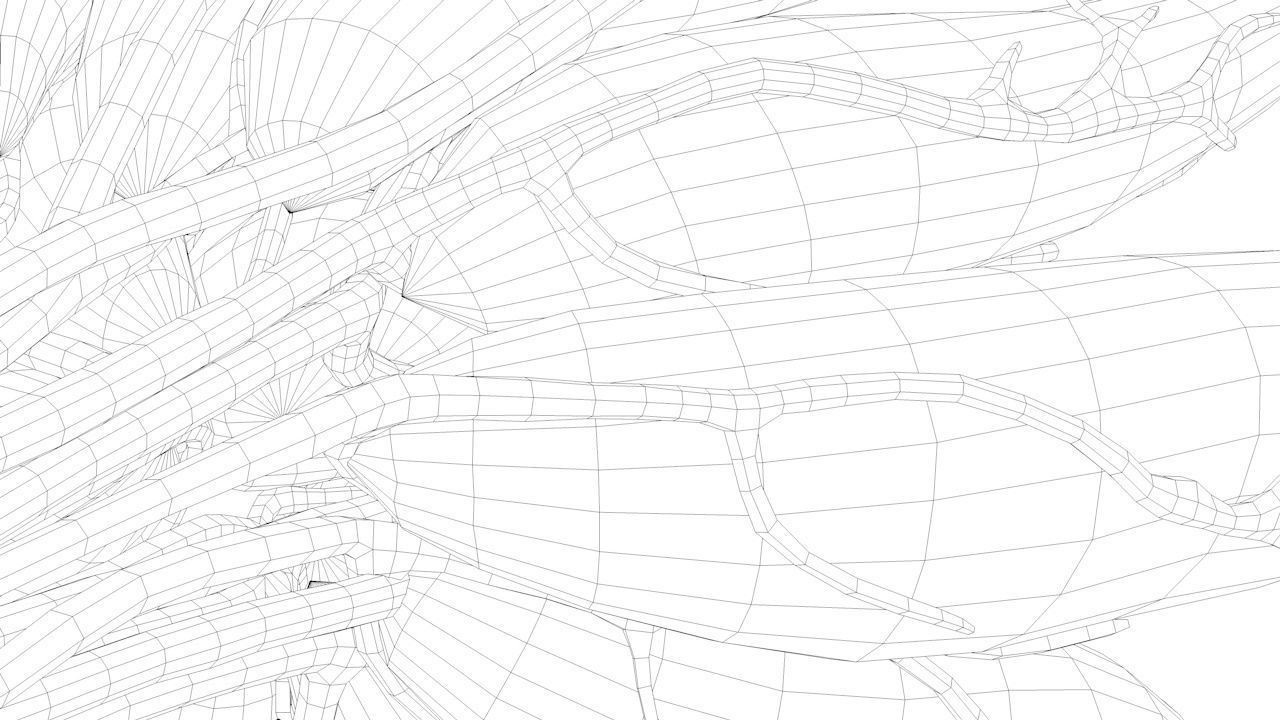 Mammary Gland Low-poly 3D model_19