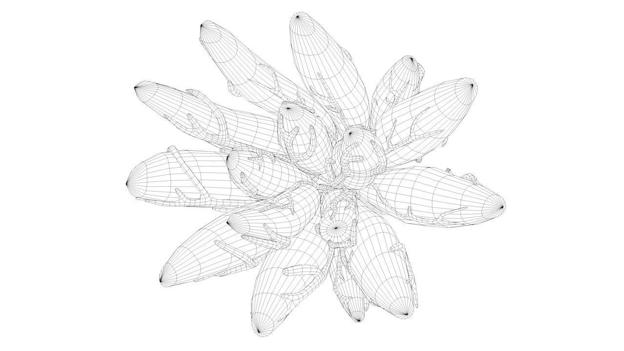 Mammary Gland Low-poly 3D model_15