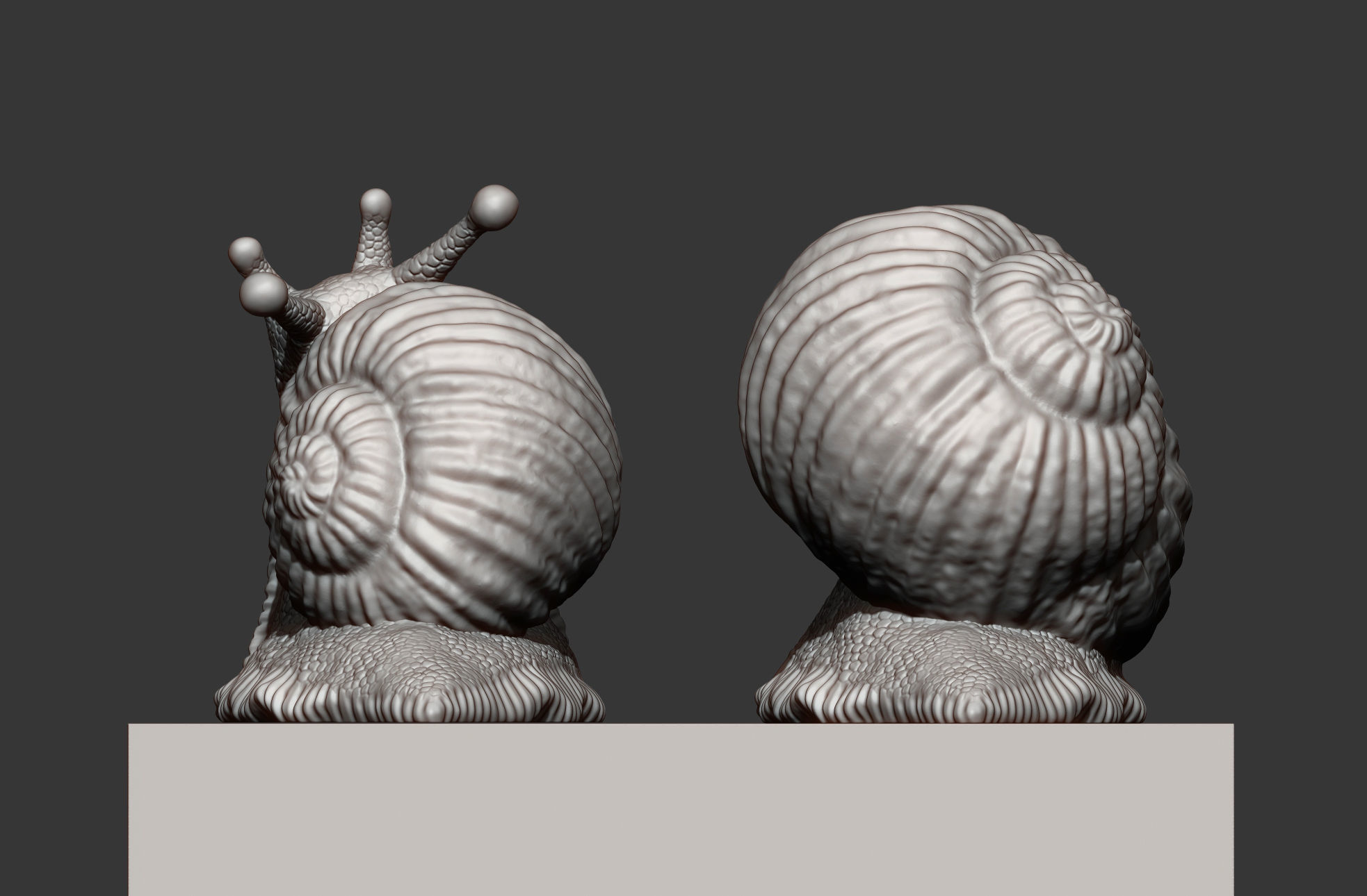 Snail two snails 3D print model_7