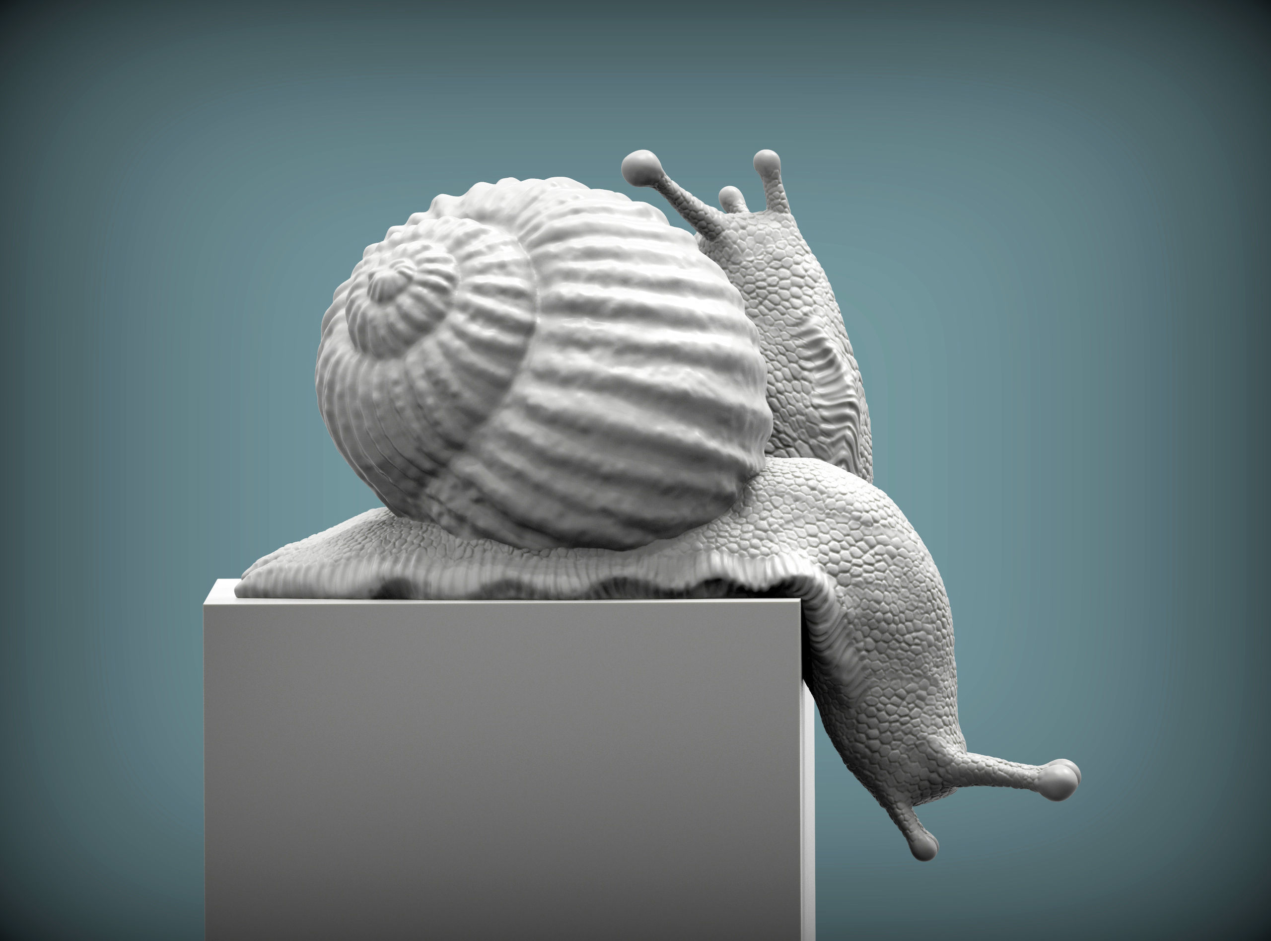Snail two snails 3D print model_1