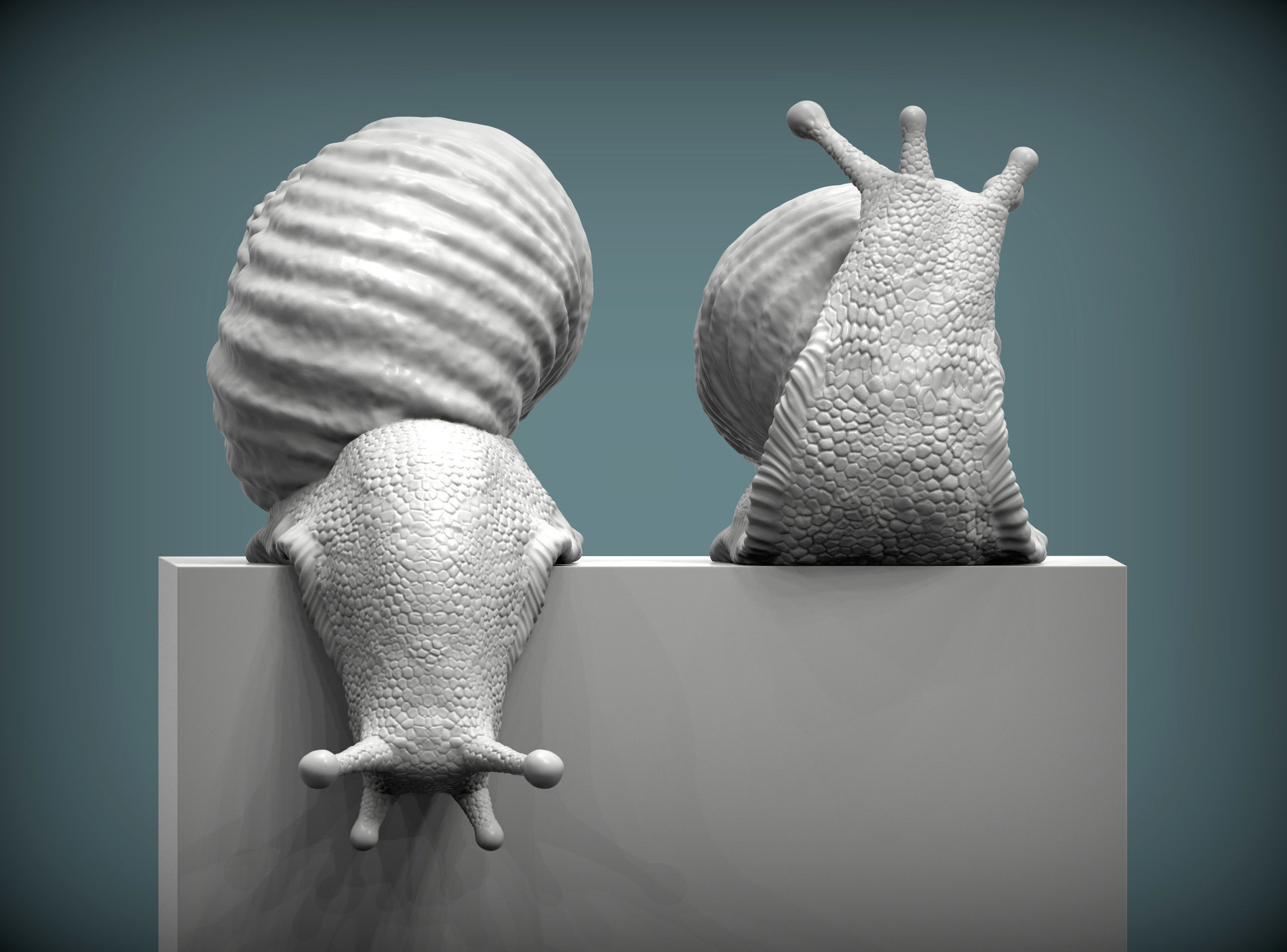 Snail two snails 3D print model_3