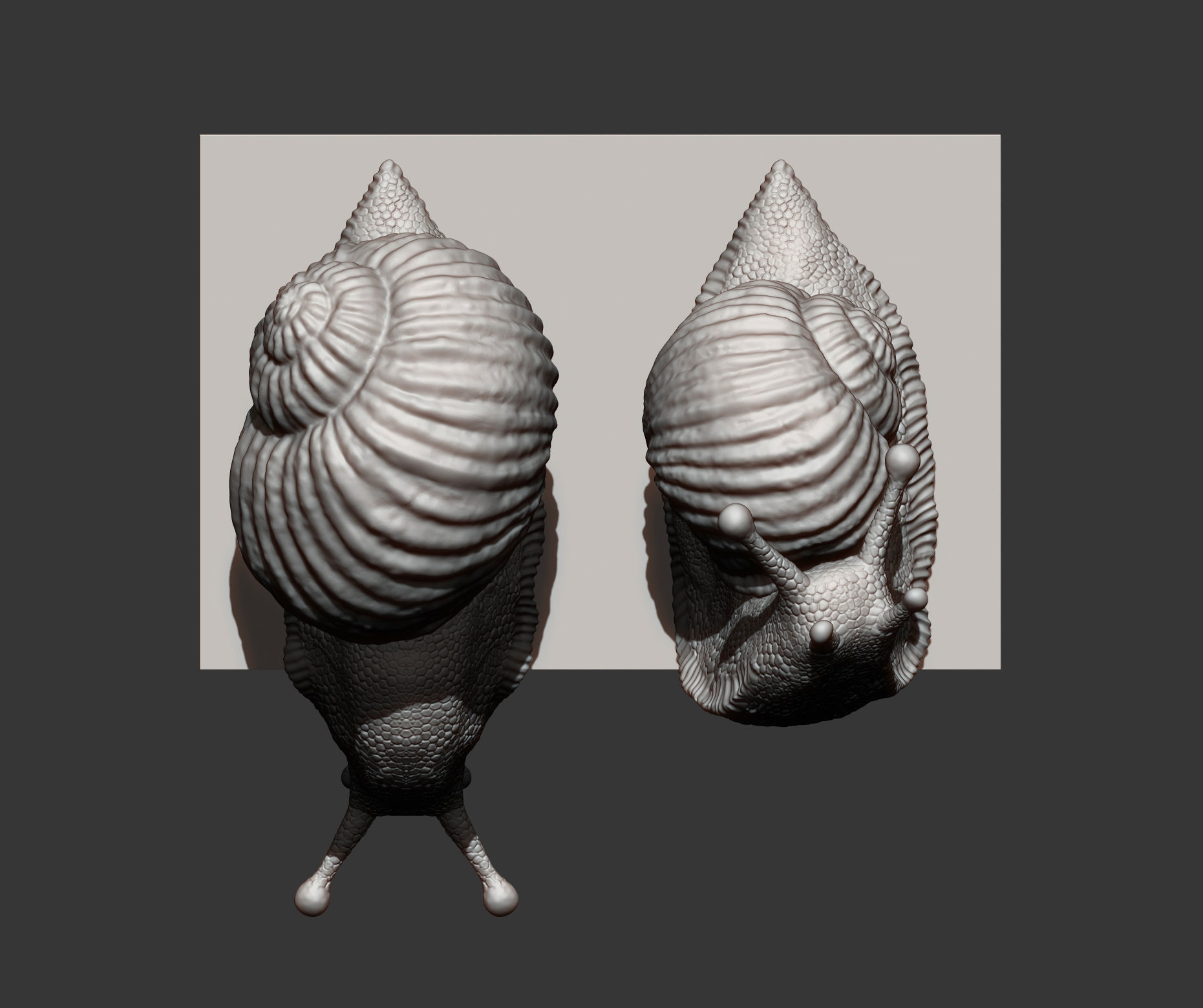 Snail two snails 3D print model_8
