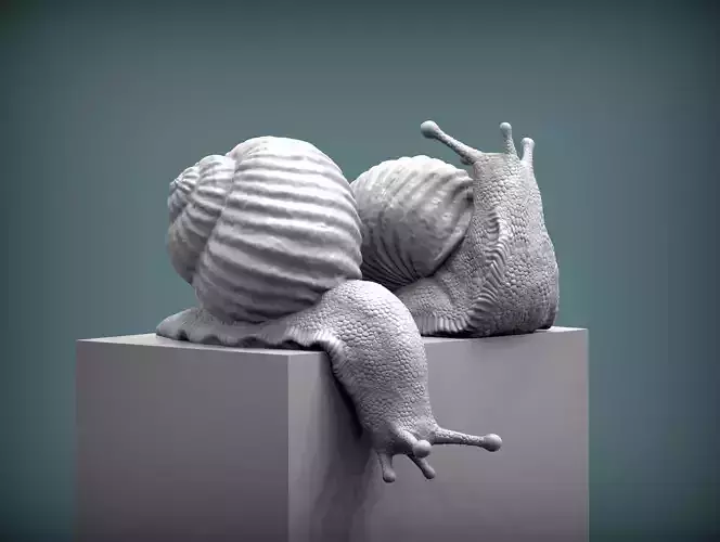 Snail two snails 3D print model