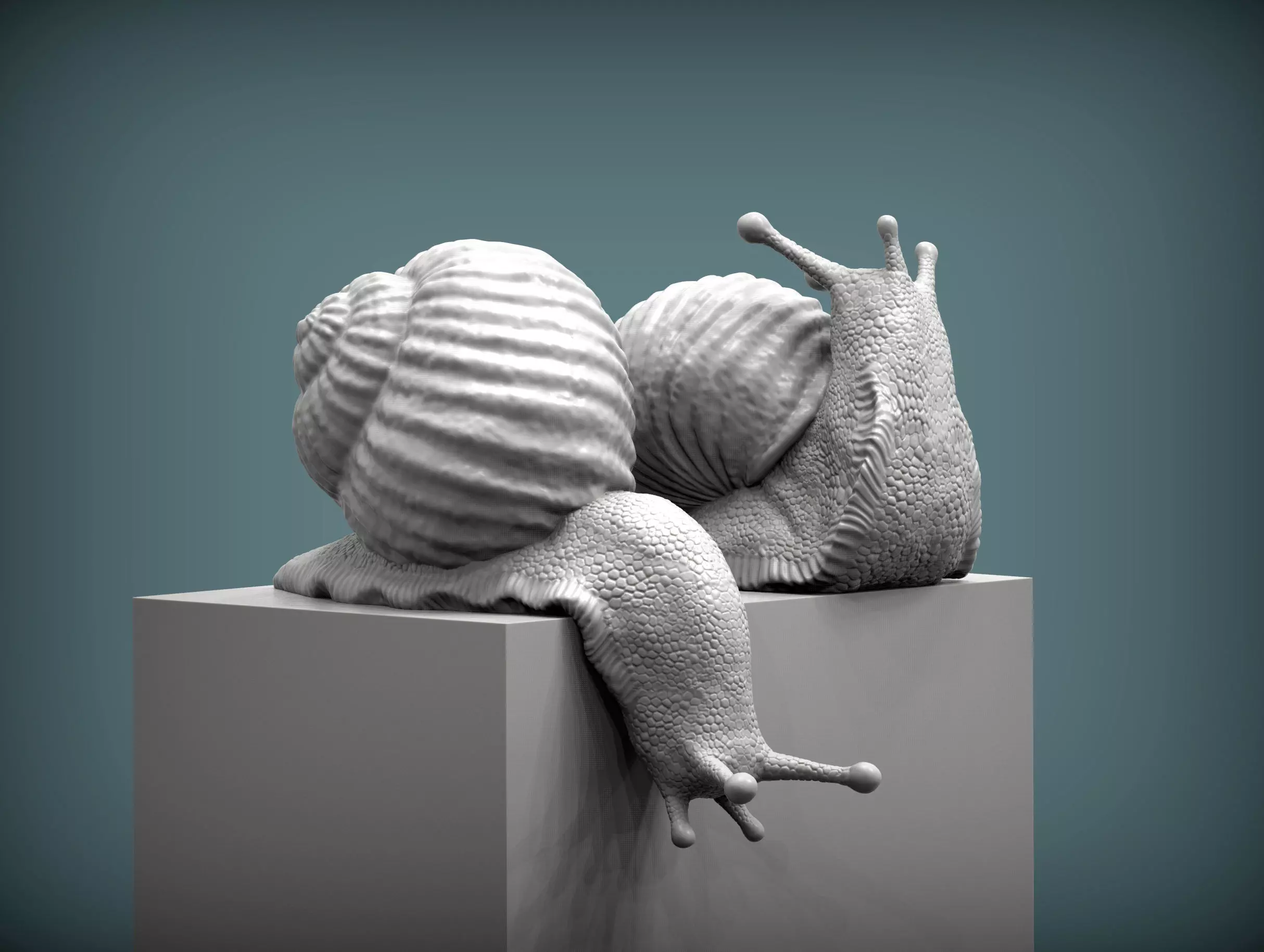 Snail two snails 3D print model_0