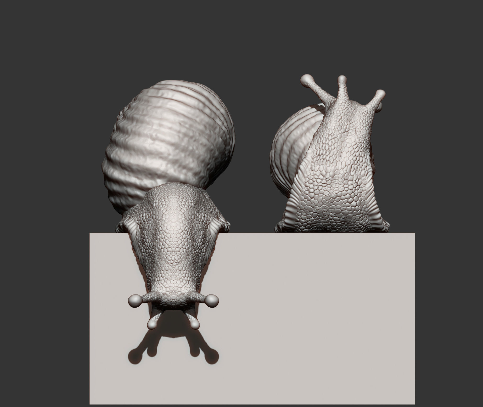 Snail two snails 3D print model_6
