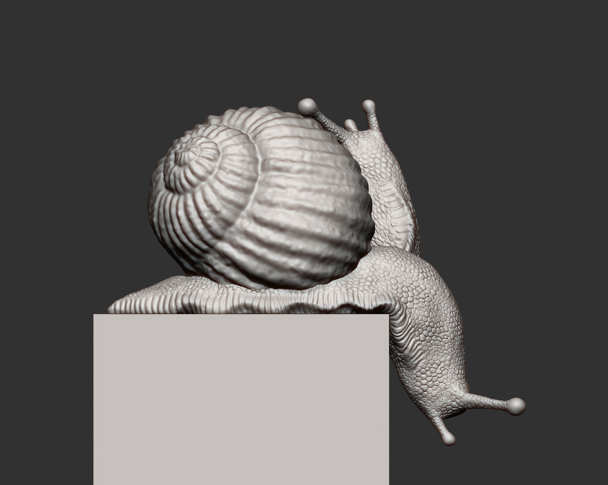 Snail two snails 3D print model_9