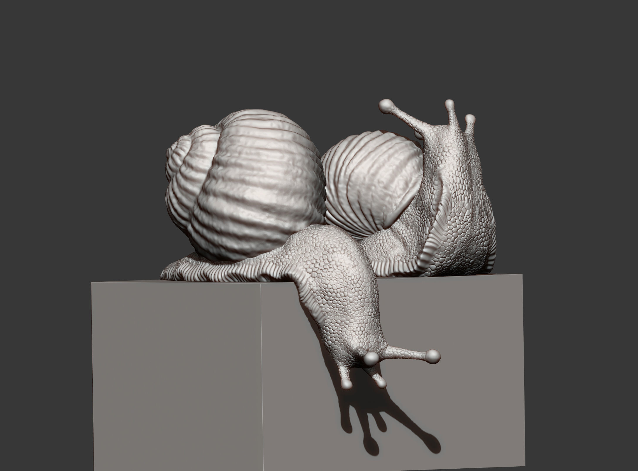 Snail two snails 3D print model_12