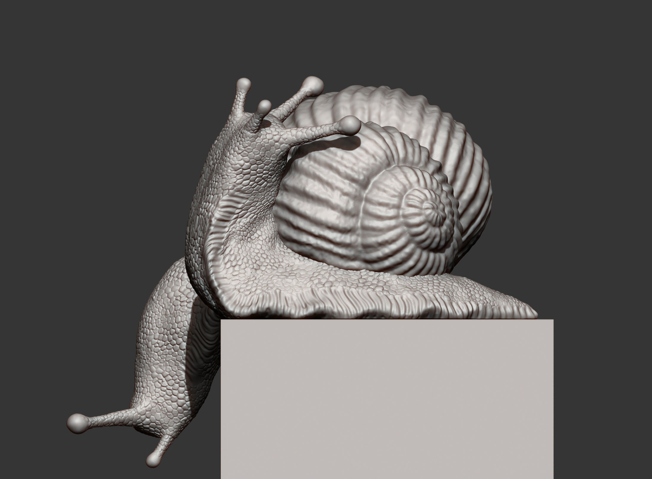 Snail two snails 3D print model_4