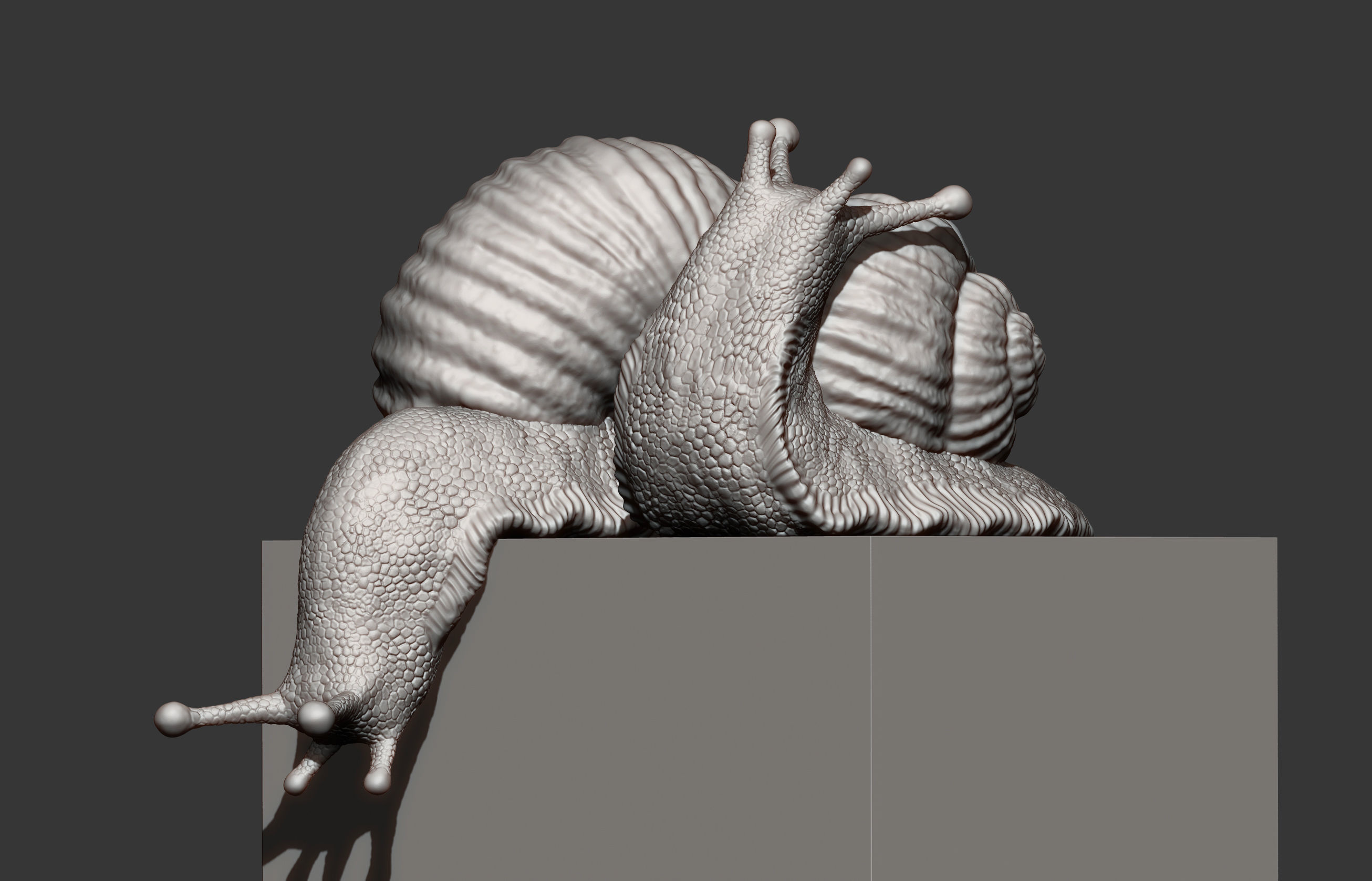 Snail two snails 3D print model_10