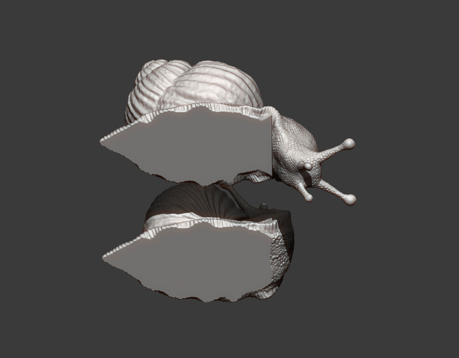 Snail two snails 3D print model_5