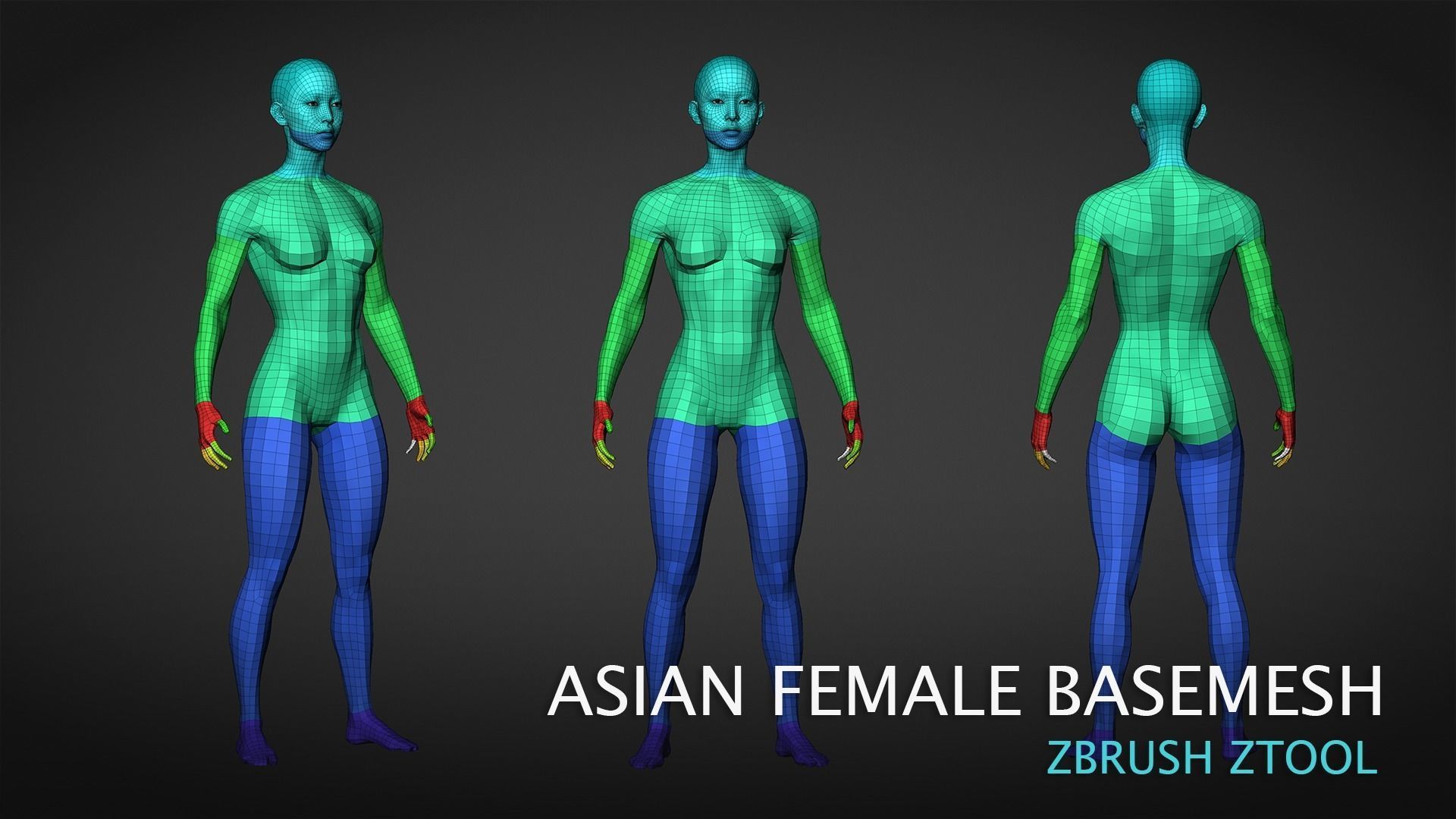 Fit Asian female Base mesh 3D model_3