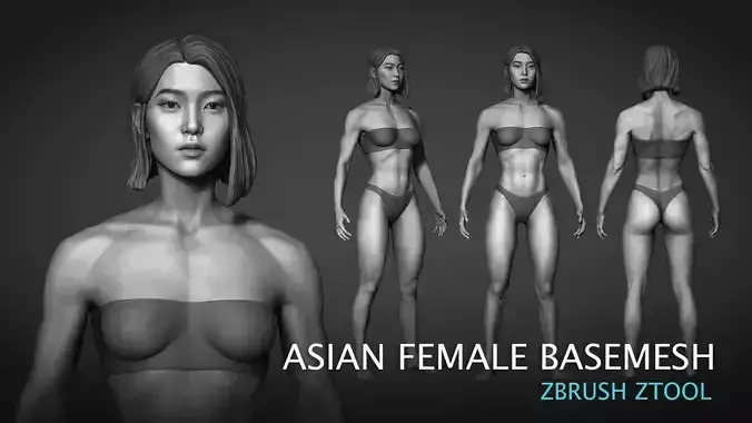 Fit Asian female Base mesh 3D model