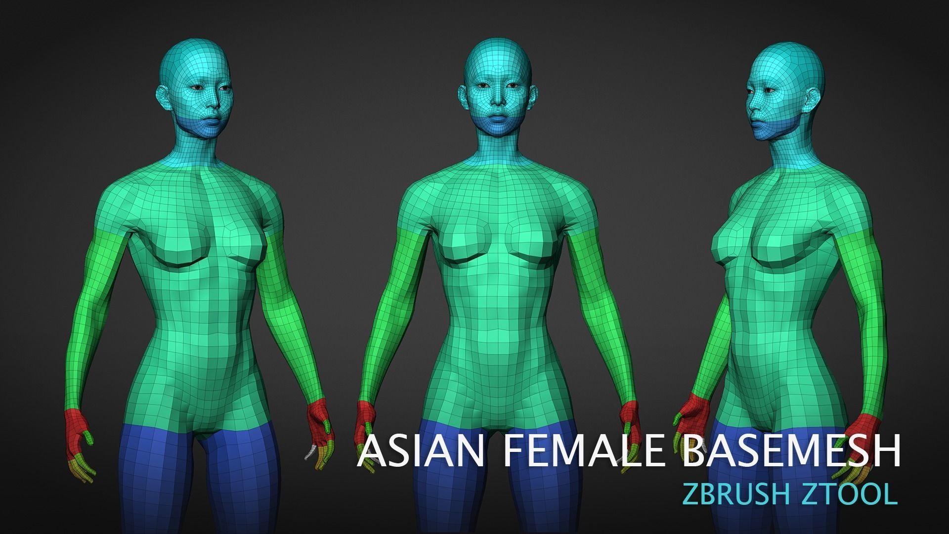 Fit Asian female Base mesh 3D model_4