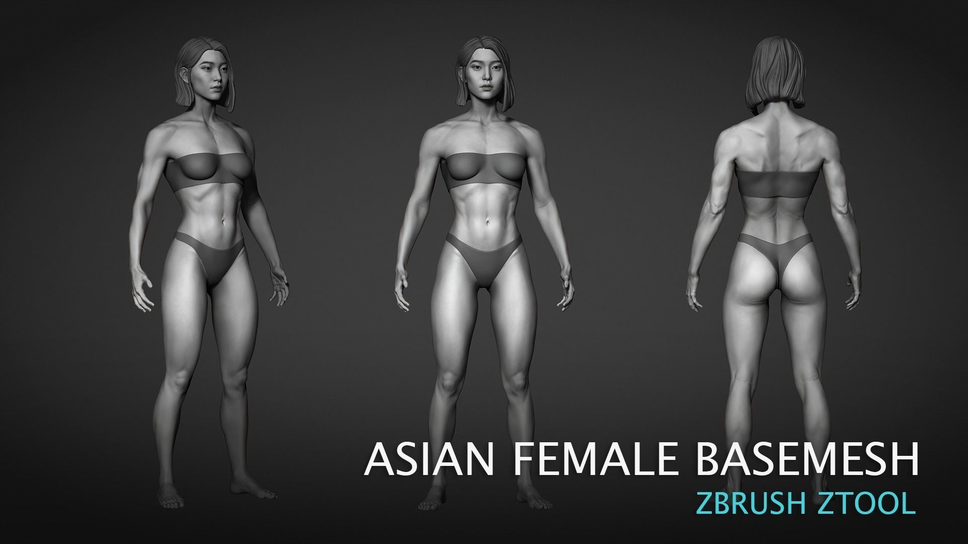 Fit Asian female Base mesh 3D model_2