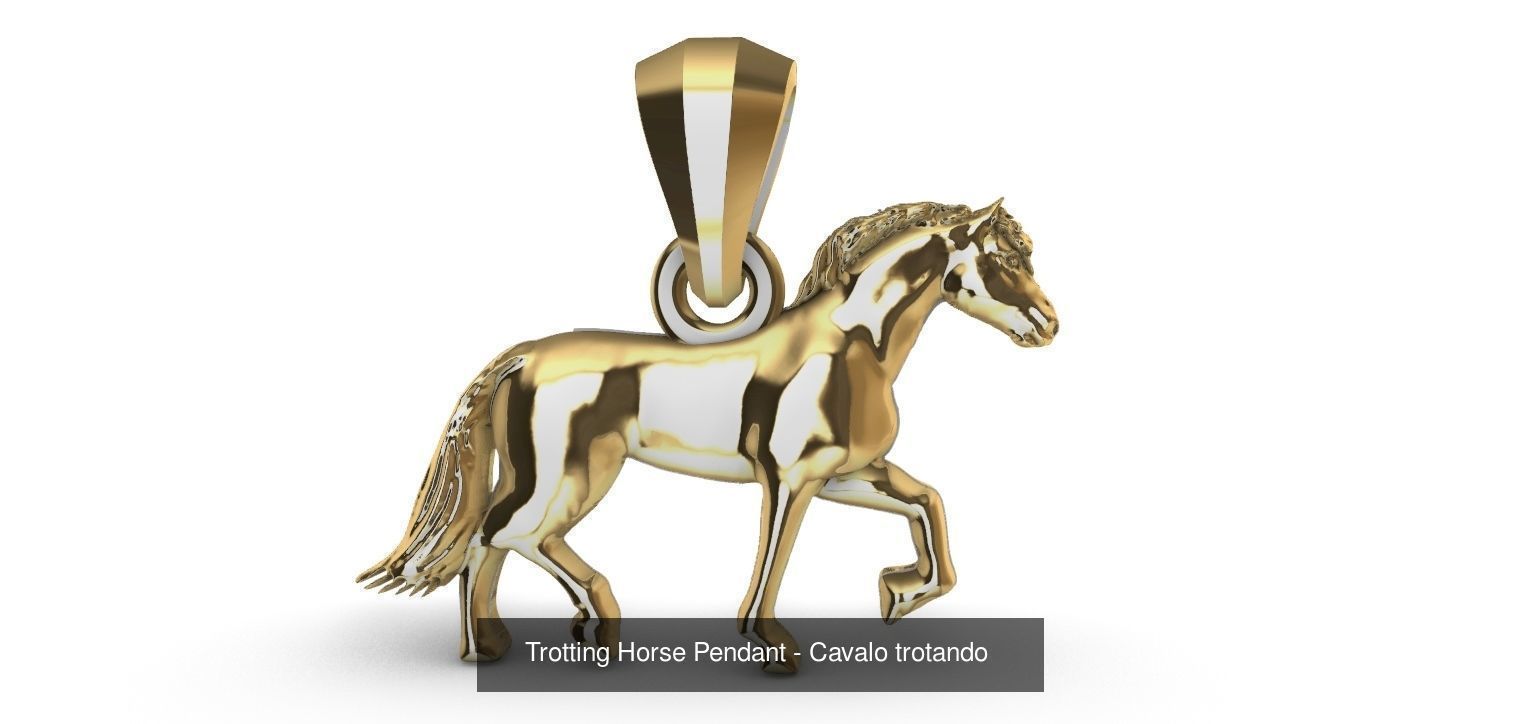 Equestrianism horsemanship and Horse - Hipismo 3D Model Collection_14