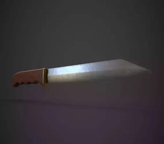 Knife for meat