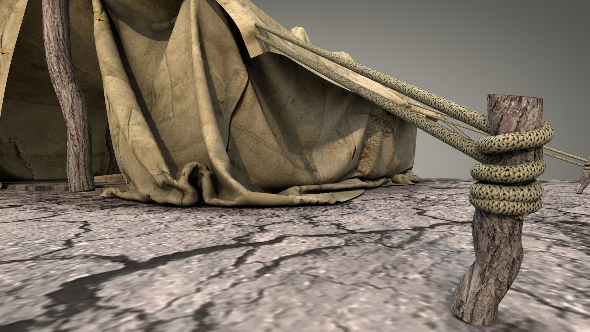 Survival Tent v1 3D model_8