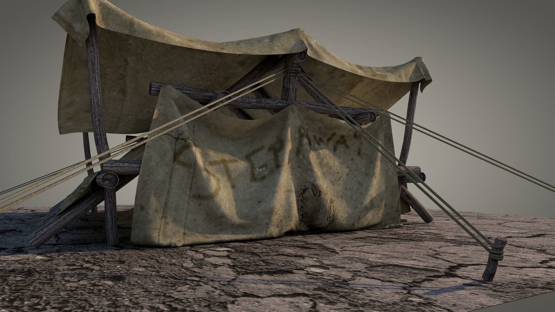 Survival Tent v2 3D model_5