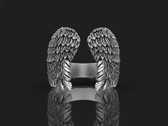 Bird wings ring 3d model for 3d printing 3D print model