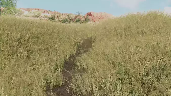 Grass - Southern Africa 3D model