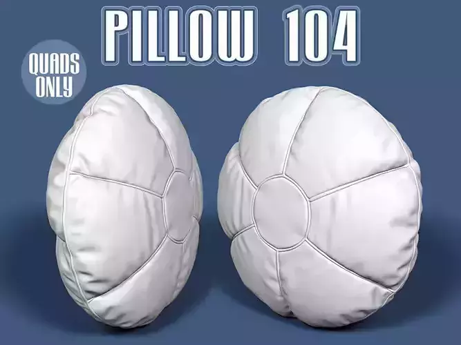 Pillow 104