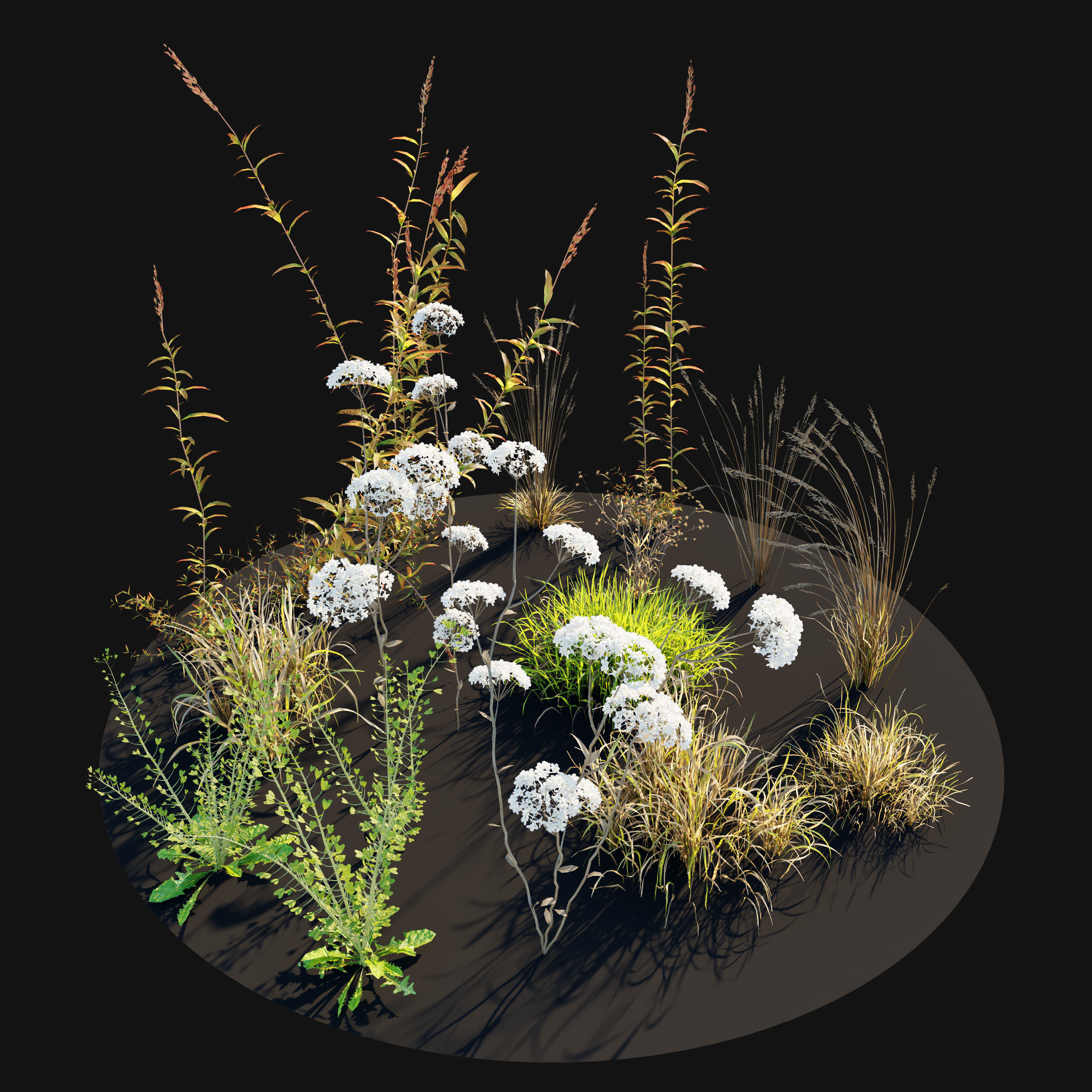 Meadow 10 3D model_3