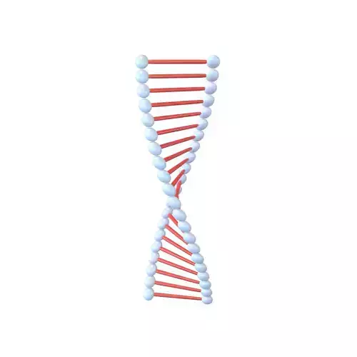 Cartoon DNA Molecule v1 001