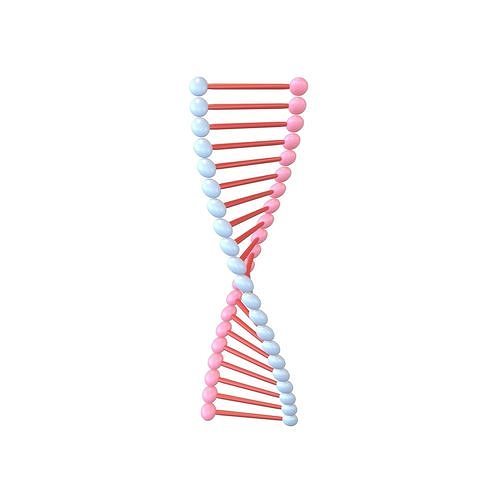 Cartoon DNA Molecule v1 002 Low-poly 3D model