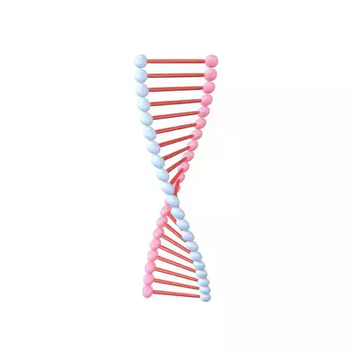Cartoon DNA Molecule v1 002
