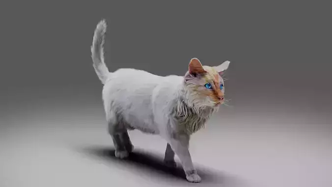 Fur Cat White Rigged Low-poly 3D model