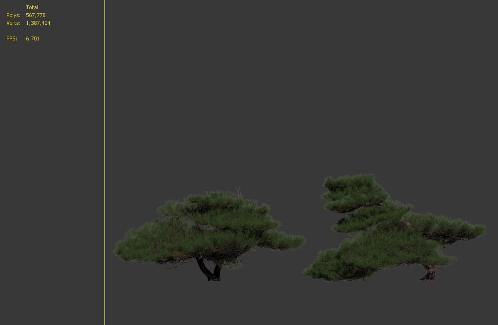 Pinus Pentaphylla 02 3D model_4