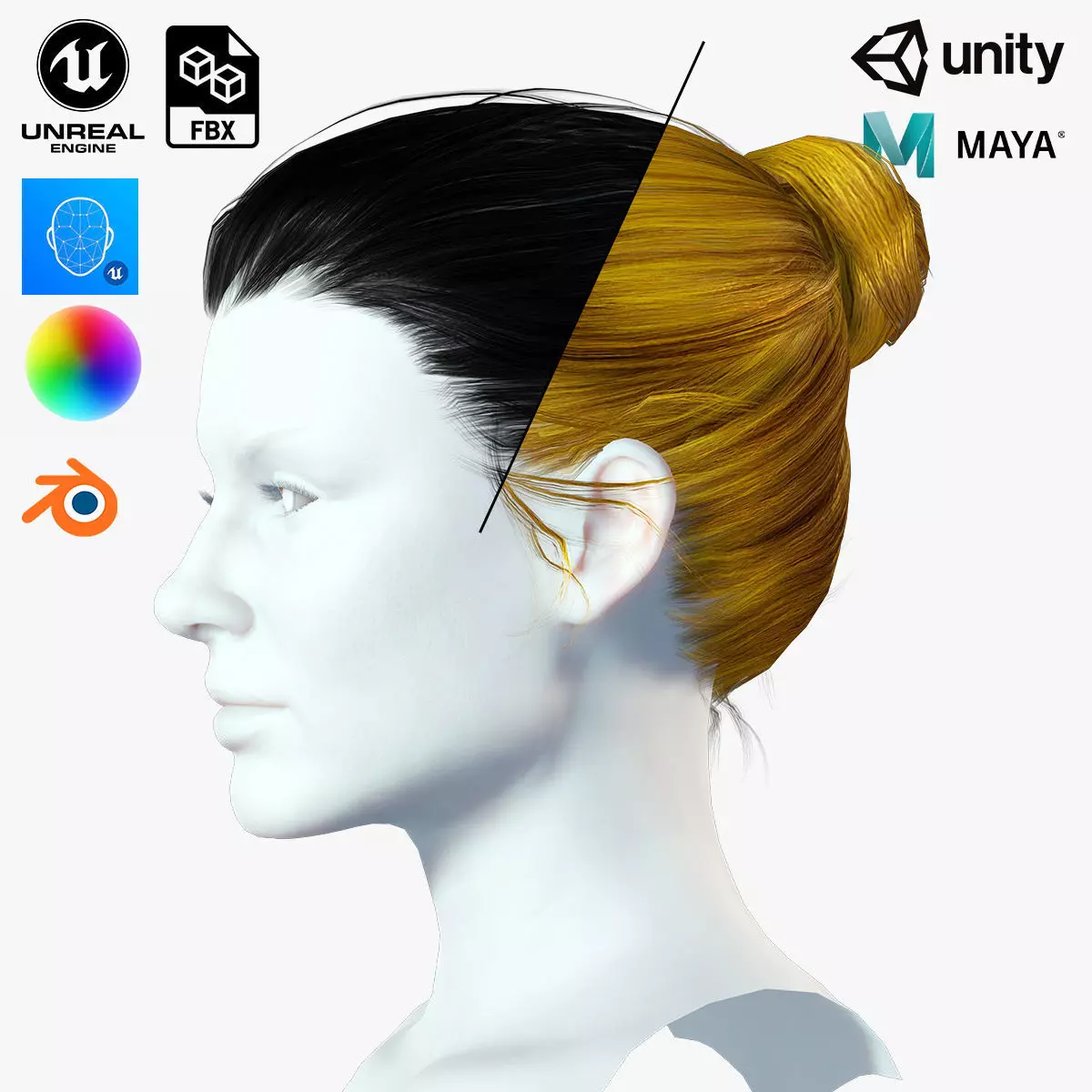 Free Realistic Female hair Free low-poly 3D model_0