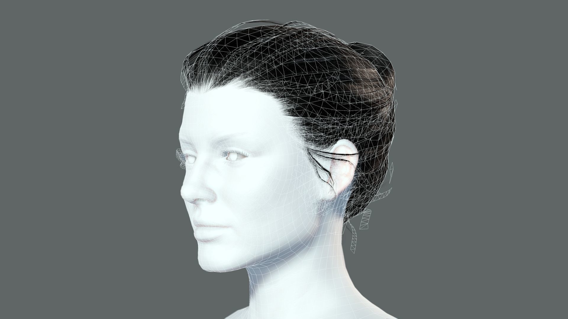 Free Realistic Female hair Free low-poly 3D model_7