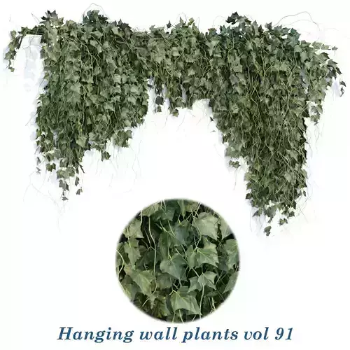 Hanging wall plants vol 91