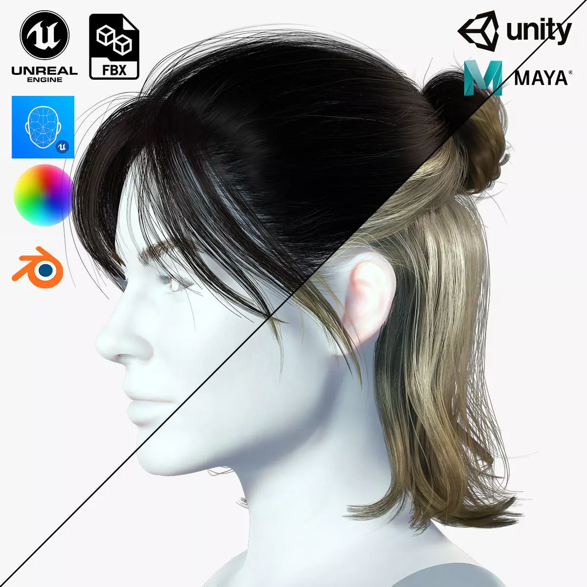 Realistic Female hair card 2 Low-poly 3D model_0