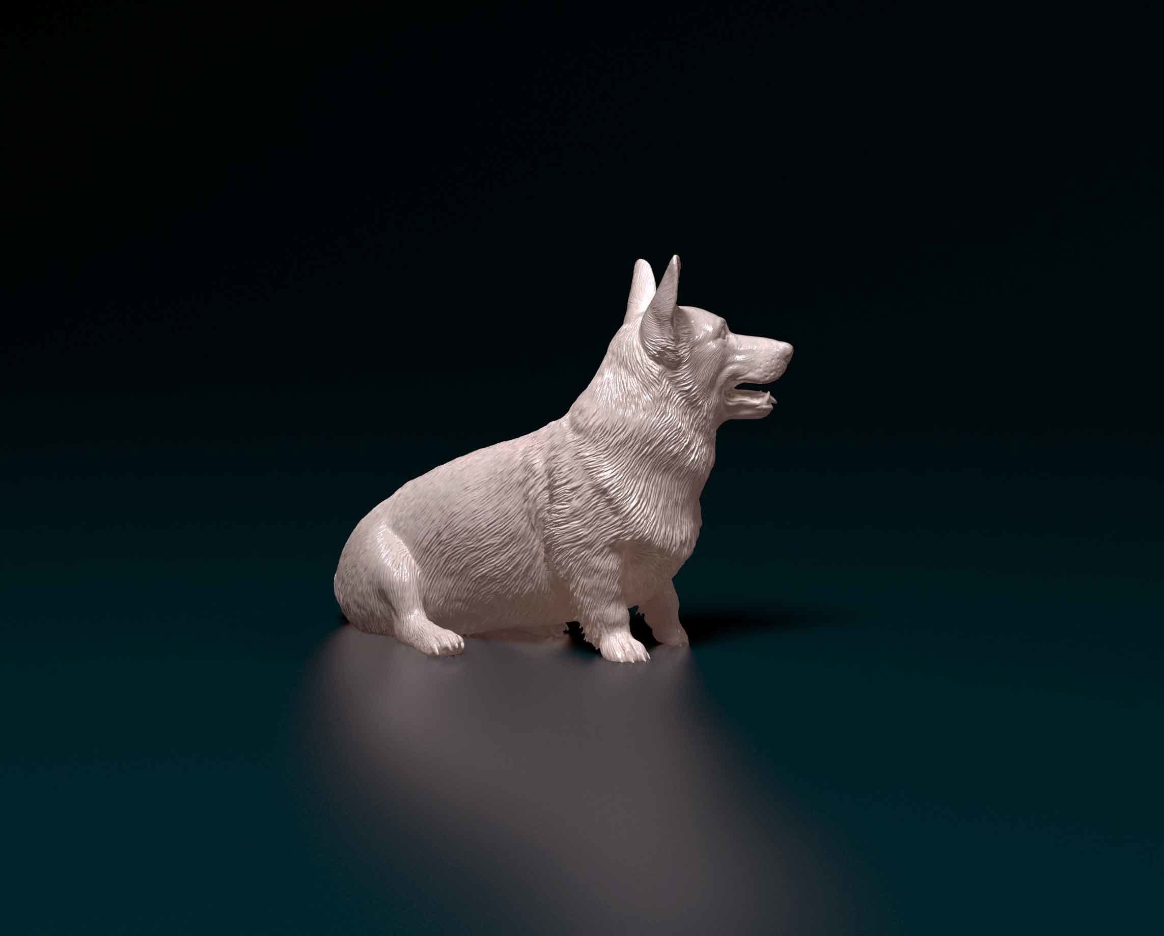 Pembroke Welsh Corgi 3D print model_1