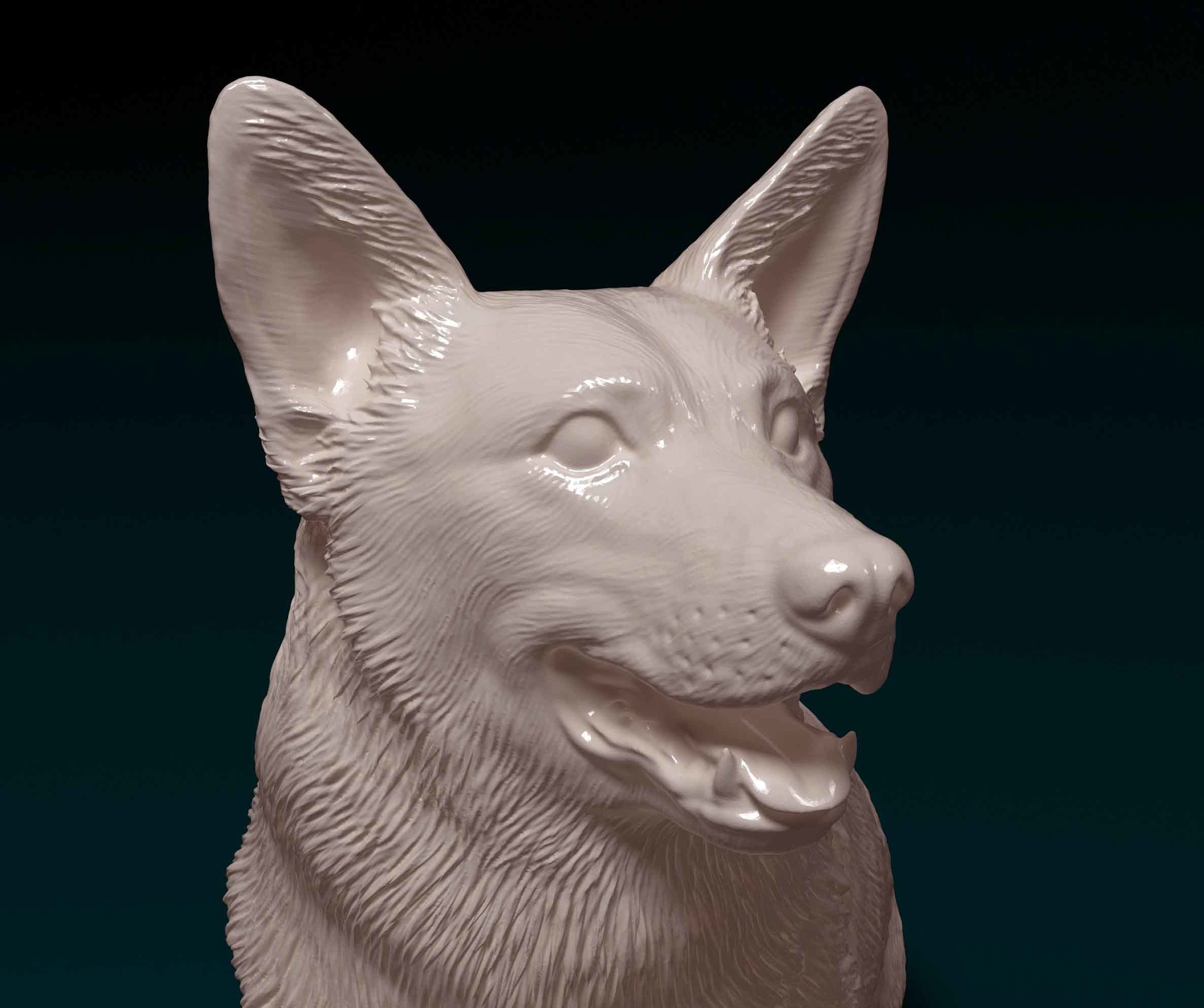 Pembroke Welsh Corgi 3D print model_7