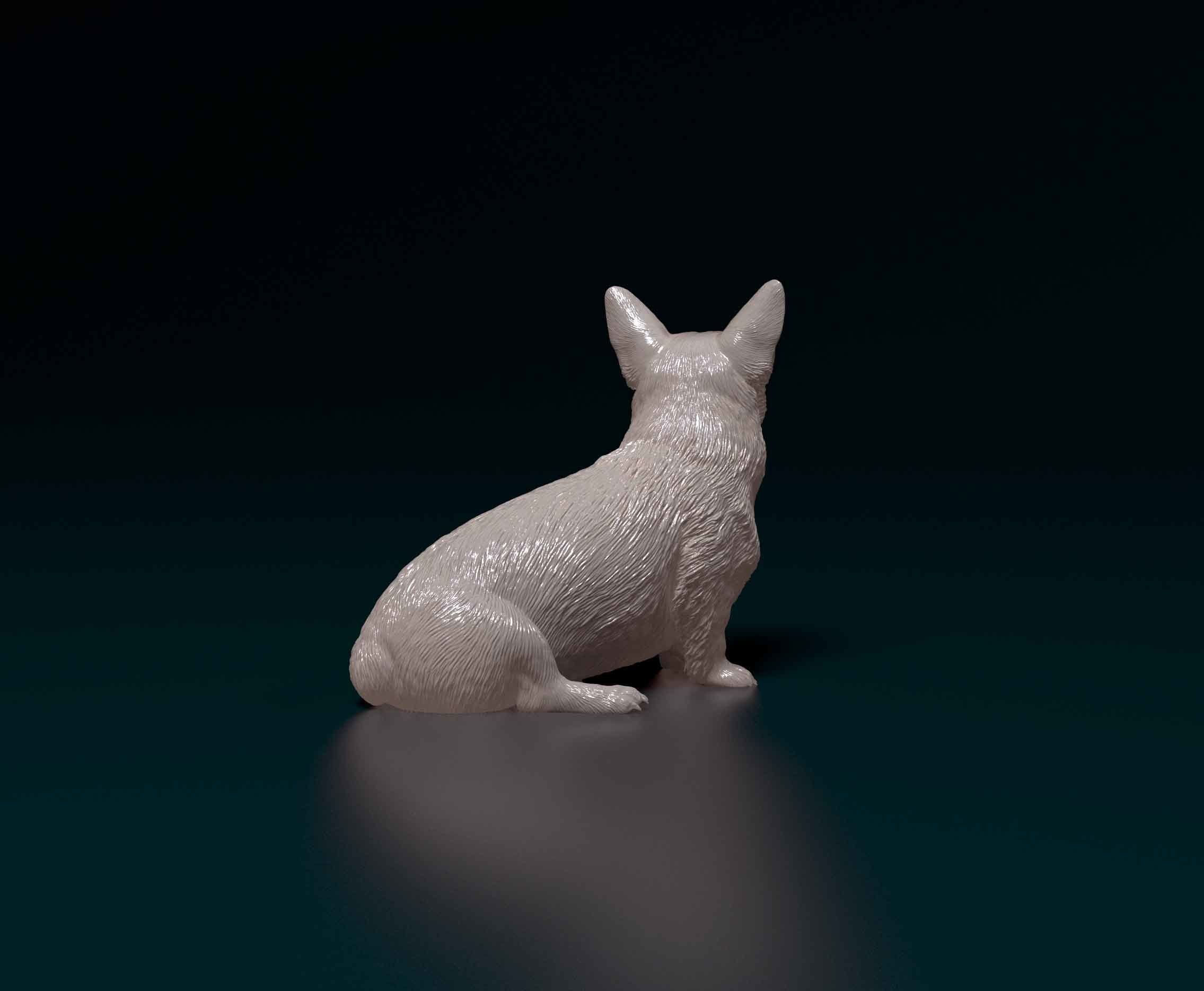 Pembroke Welsh Corgi 3D print model_2