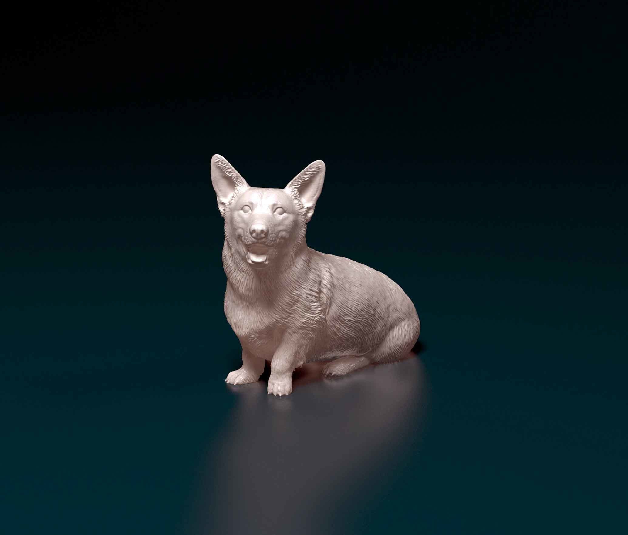 Pembroke Welsh Corgi 3D print model_6