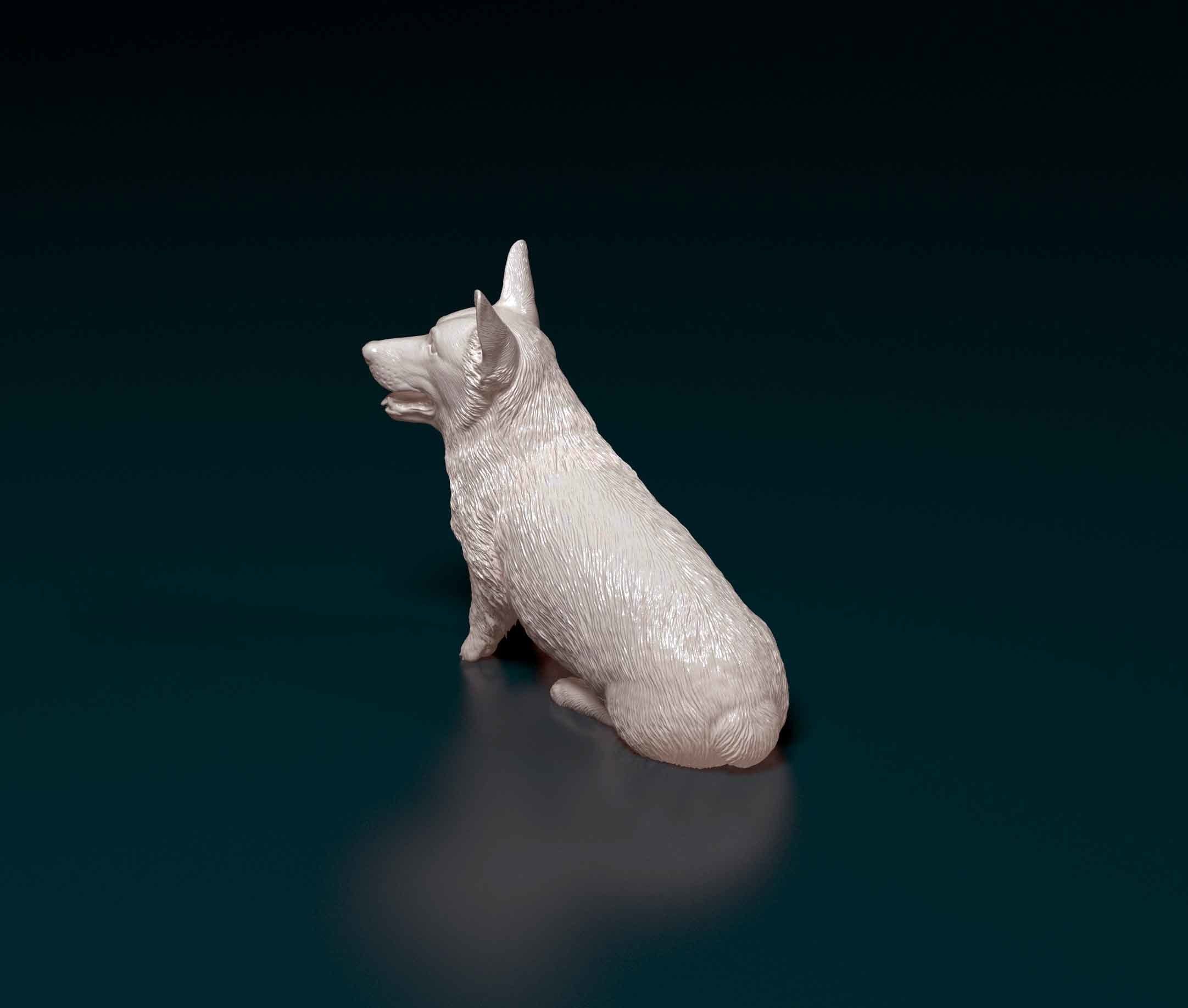 Pembroke Welsh Corgi 3D print model_4