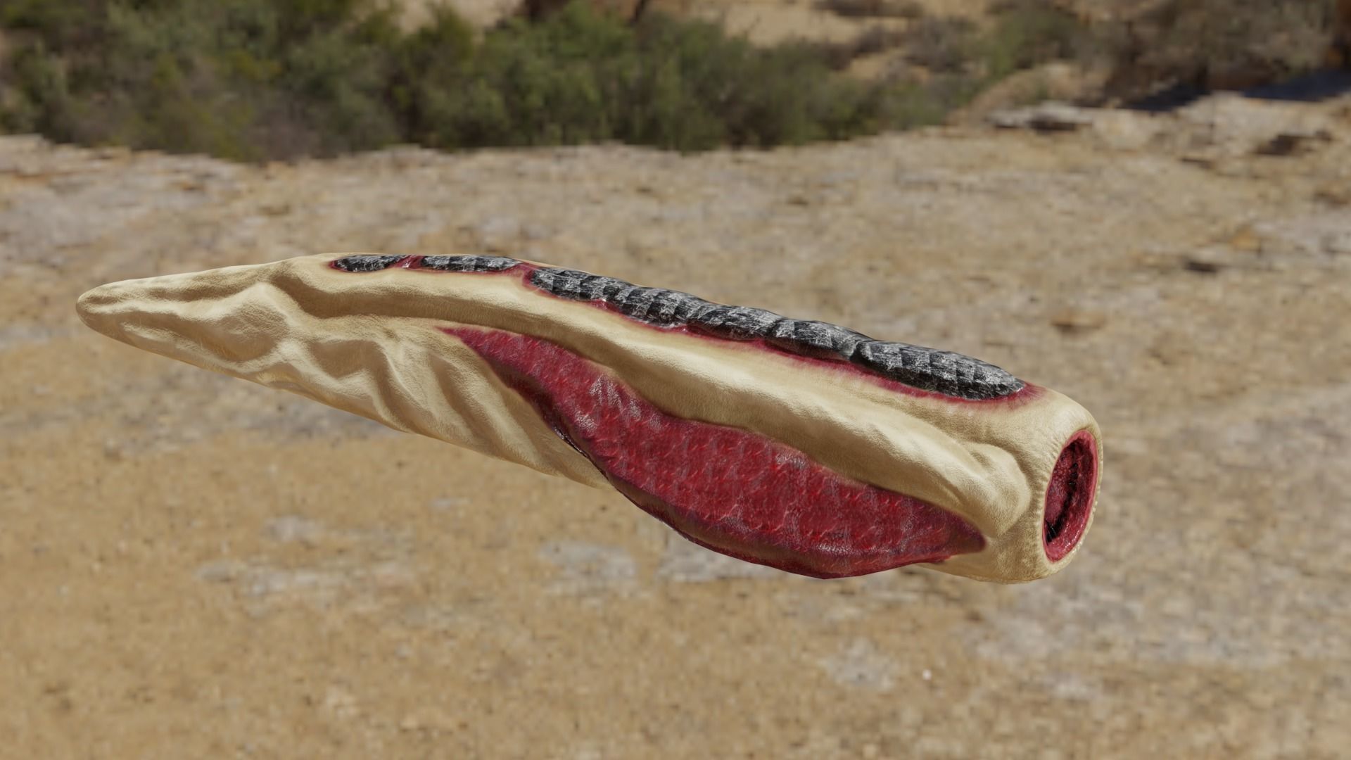 Worm Monster  Low-poly 3D model_21