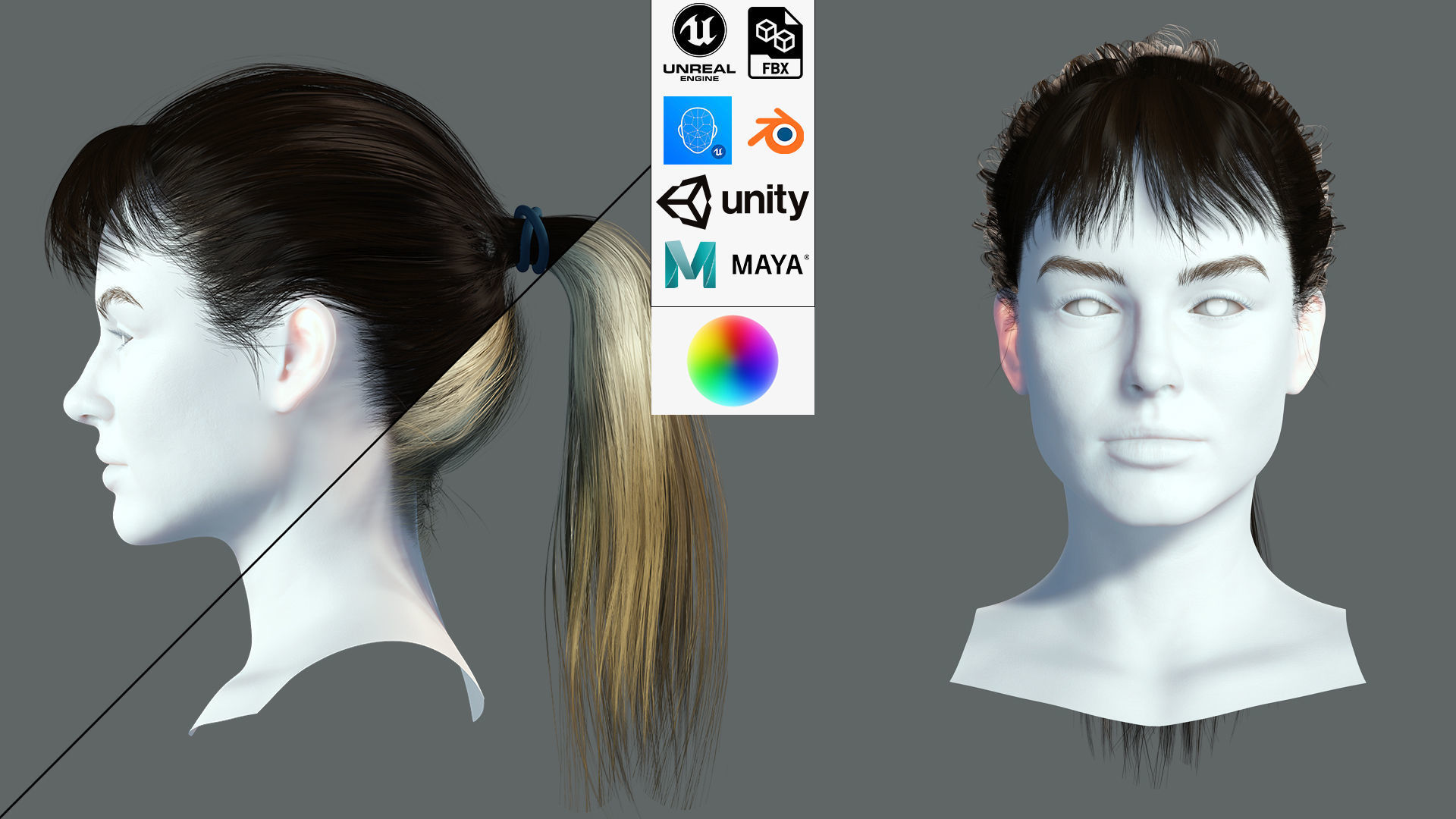 Realistic Female hair card 4 Low-poly 3D model_1