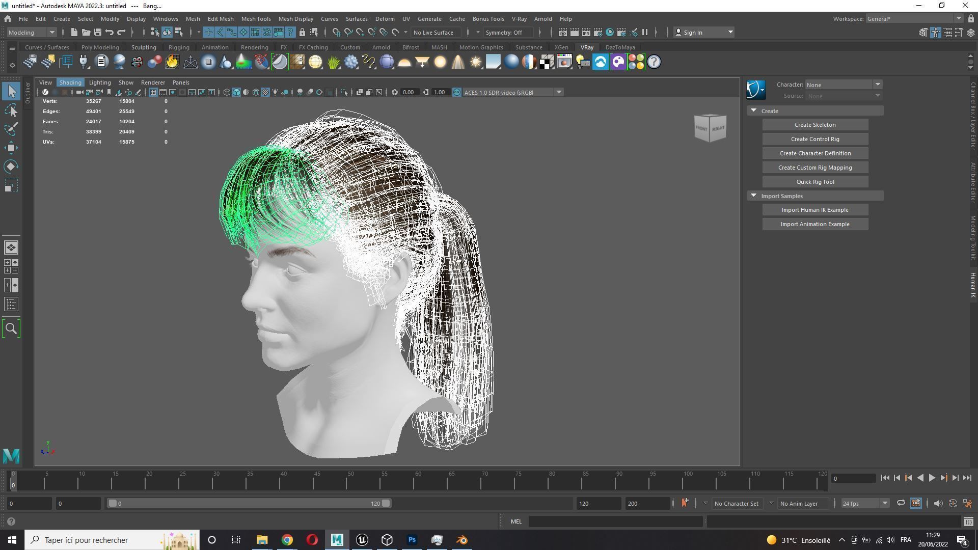 Realistic Female hair card 4 Low-poly 3D model_9