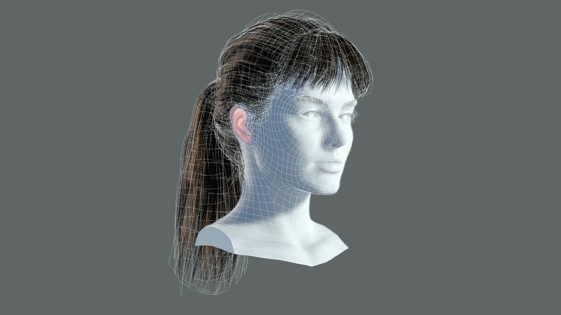 Realistic Female hair card 4 Low-poly 3D model_8